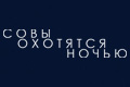 Совы охотятся ночью